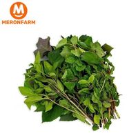 Rau thơm hỗn hợp 250gr