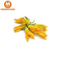 Bông bí đỏ, đóng xá