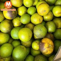 Cam xoàn Đồi Chư Păm