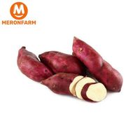 Khoai lang lệ cần