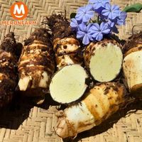 Khoai môn sáp vàng