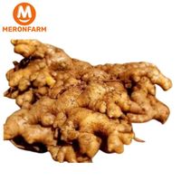 Gừng sẻ Smile Farm