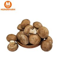 Nấm hương tươi Nấm xanh - Hộp 150gr