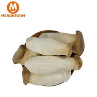 Nấm đùi gà Nấm Xanh - Túi 200gr