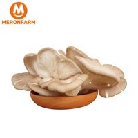 Nấm bào ngư Nấm Xanh - Túi 500gr