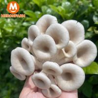 Nấm Sò Thái hữu cơ Én Việt - Túi 500gr