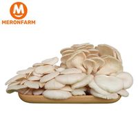 Nấm sò trắng Nấm Xanh - túi 500gr