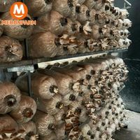 Nấm bào ngư xám hữu cơ Én Việt - Túi 500gr