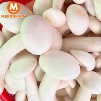 Nấm hoàng đế Huỳnh Gia - khay 250gr