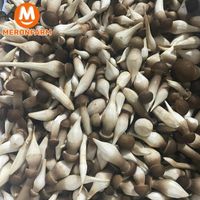 Nấm mối đen Huỳnh Gia - khay 250gr