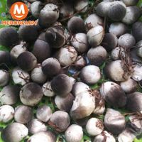 Nấm rơm Én Việt - Túi 200g