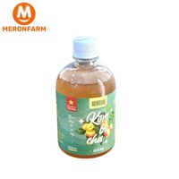 Kombucha Quả dại TanLamFood - chai 500ml