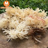 Rong sụn khô Ông Thắng (loại mềm) - Gói 100gr