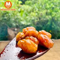 Mứt cóc không hạt Trung Nhân - túi 250gr