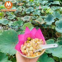Hạt sen tươi nguyên lụa - Túi 500gr