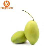 Xoài Cát Hòa Lộc