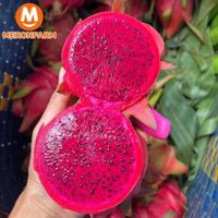 Thanh long ruột đỏ Đắk Lắk