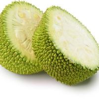 Mít non nguyên trái