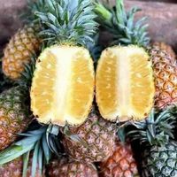 Dứa mật Tây Nguyên