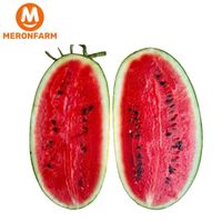 Dưa hấu size lớn Tameco