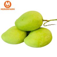 Xoài cát chu Hai Cù Lao