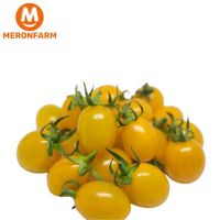 Cà chua bi (trứng sữa)