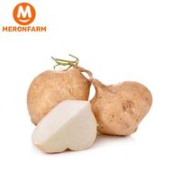 Củ đậu (củ sắn)