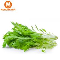 Cải đuôi phụng