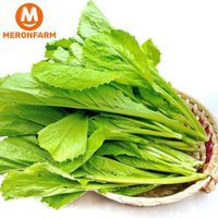 Cải xanh