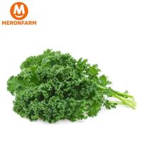 Cải Kale
