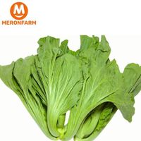 Cải muối dưa