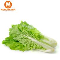 Cải bẹ dún