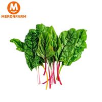 Cải cầu vồng