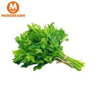 Cần tây gia vị