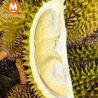 Sầu riêng hạt 