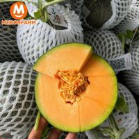 Dưa lưới mật