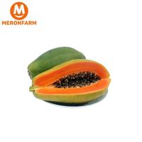 Đu đủ ruột đỏ