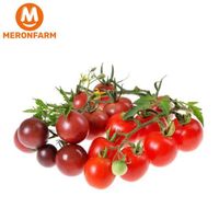 Sản phẩm tính bill