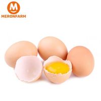 Trứng gà Bảo Bảo - Hộp 6 quả