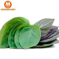 Túi đường Vifood