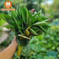 Lá cẩm