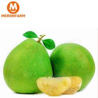 Bưởi da xanh - loại ăn (NHỎ),tính bill