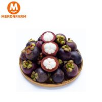 Măng cụt VIP (tính bill)