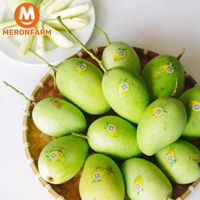 Xoài cát chu Hai Cù Lao - Loại 2