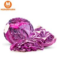 Bắp cải màu tím