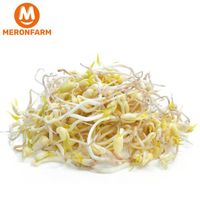 Giá đỗ - Túi 250gr