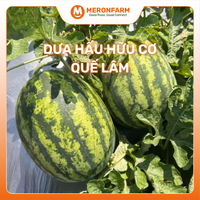 Dưa hấu hữu cơ Quế Lâm