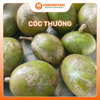 Cóc thường