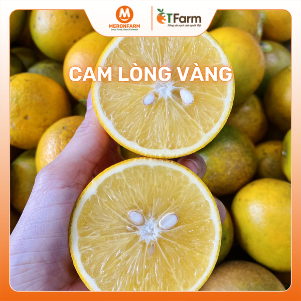 Cam lòng vàng 3T Farm.png