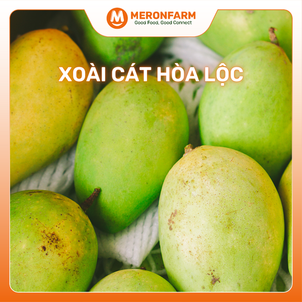 xoài cát hòa lộv.png